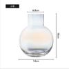 Vaso Hidropônico Simples Escandinavo de Alta Qualidade para Arranjo de Flores de Mesa Doméstica, Ornamentos Ins de Vidro Transparente por Atacado, Plantas Verdes