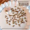 Accesorios Translucidos Rojos para Arte de Uñas de Moño Mezclados Otoño e Invierno Maillard Resina Decoración de Uñas de Moño Accesorios Decorativos