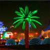 Yujin Fabricante Lâmpada LED Luminosa Estável de Paisagem Lâmpada de Palmeira de Óleo LED Lâmpada de Palmeira de Coco Luminosa LED Árvore Sophora
