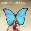 Venta Directa al Por Mayor de Fábrica de Especímenes Reales de Mariposas con Alas Extendidas, Diversos Insectos y Escarabajos, Accesorios para Fotos, Educación Científica, Especímenes Naturales