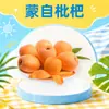 Yunnan Mengzi Gotas de Níspero Dropshipping Dulce Fruta Fresca Empacada en Caja de Papel Pulpa Tierna Protección con Malla para Fruta Fresca