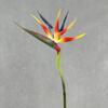 Transfronterizo Simulación de Nuevo Producto Ave del Paraíso Decoración para el Hogar y Restaurante Decoración de Arreglos Florales Flores Artificiales Accesorios para Fotografía Flor Hecha a Mano Venta al por Mayor