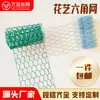 Rede Hexagonal para Galinheiro, Malha Torcida para Decoração de Casamento, Malha de Arame Hexagonal para Arranjo de Flores, Malha Hexagonal Revestida de Plástico Verde