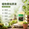 Polvo de Solución Madre para Marchitez Amarilla Específico para Verduras Domésticas Tomate Pepino Árbol Frutal Melón Fruta Hoja Verde Promoción de Crecimiento Fuerte de Plántulas
