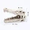 Craneo de Animal Cráneo Modelo de Investigación Científica para Estudiantes Muestra de Espécimen Doble Corona Cráneo de Dinosaurio Cráneo de Resina