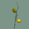 Simulação 2 Romãs 7 Caquis Flor de Romã Arranjo de Ano Novo Fruta da Fortuna Decoração Fruta de Espuma Flor Artificial