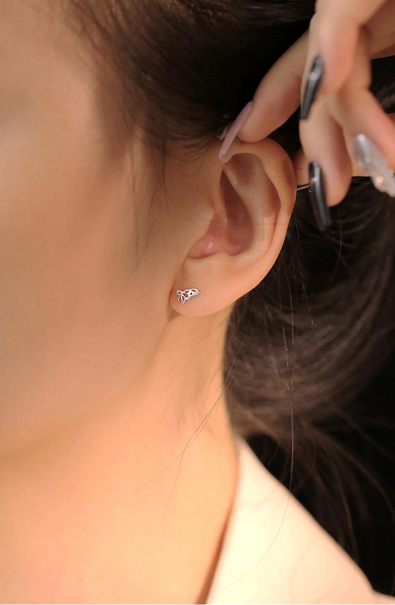 se3219 (5).jpg