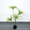 Planta de Simulación de Madera Milenio Nórdico Decoración Suave Planta Verde Falsa Decoración de Planta en Maceta Simulación Sangre de Dragón Lirio de Hierro Bambú Péndulo