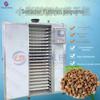Secador educacional de fitoterapia chinesa pequeno aquecimento elétrico Yangchun areia Yizhi kernel caixa de secagem de grama equipamento secador de frutas