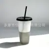 Taza Sensible a la Temperatura que Cambia de Color Directa de Fábrica, Cambia de Color con el Frío, Taza con Popote de Gran Capacidad, Taza de Plástico PP, Venta al por Mayor de Tazas de Agua, Se Puede Añadir Logo