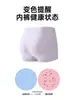 Roupa Íntima Infantil Urso Dingmi, 60 Peças Tencel Modal, Algodão Classe A, Antibacteriana 7A, Não Aperta, Não Irrita, Macia para Meninas