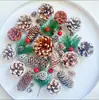 Fruta Fixa Natural Planta Fruta Casca Espécime Material Decoração Flores Secas Fatias Jardim de Infância DIY Pacote de Material de Natal