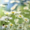 Líquido de Relleno de Aceite Esencial de Plantas de Aromaterapia de 15 ml para Difusor de Piedra de Yeso, Adornos Aromáticos, Especializado para Uso en Interiores, Fragancia de Alta Gama y Larga Duración