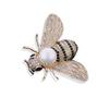 Broche libélula esmaltado goteado transfronterizo ramillete moda femenina pedrería pin animal broche dibujos animados venta al por mayor