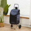 Carrito de Compras de Acero Inoxidable, Carrito Trepador de Escaleras, Carrito Grande Plegable para el Hogar para Personas Mayores, Carrito de Arrastre Manual