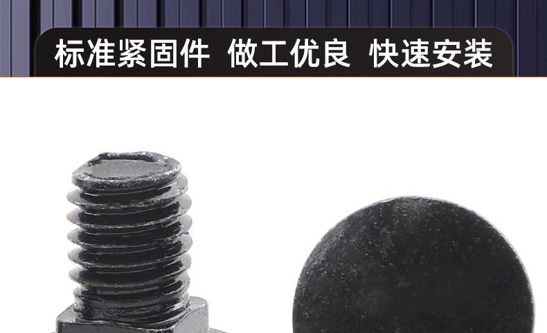 黑色304不锈钢马车螺栓_03_16.jpg