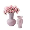 Estilo Ins Creativo Escandinavo Jarrón de Vidrio de Color Puro Gama Alta Retro Sala de Estar Hidropónico Arreglo Floral Decoración de Mesa