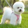 Arnés de Pecho para Mascotas Chaleco Correa de Tracción para Perro Gato Verano Transpirable Reflectante Correa para Paseo de Perros Productos para Mascotas Transfronterizos