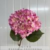 Simulación de 192 piezas de pétalos rotos de hortensia para boda, hortensia boutique blanca verde, hortensia suave para jardín casero