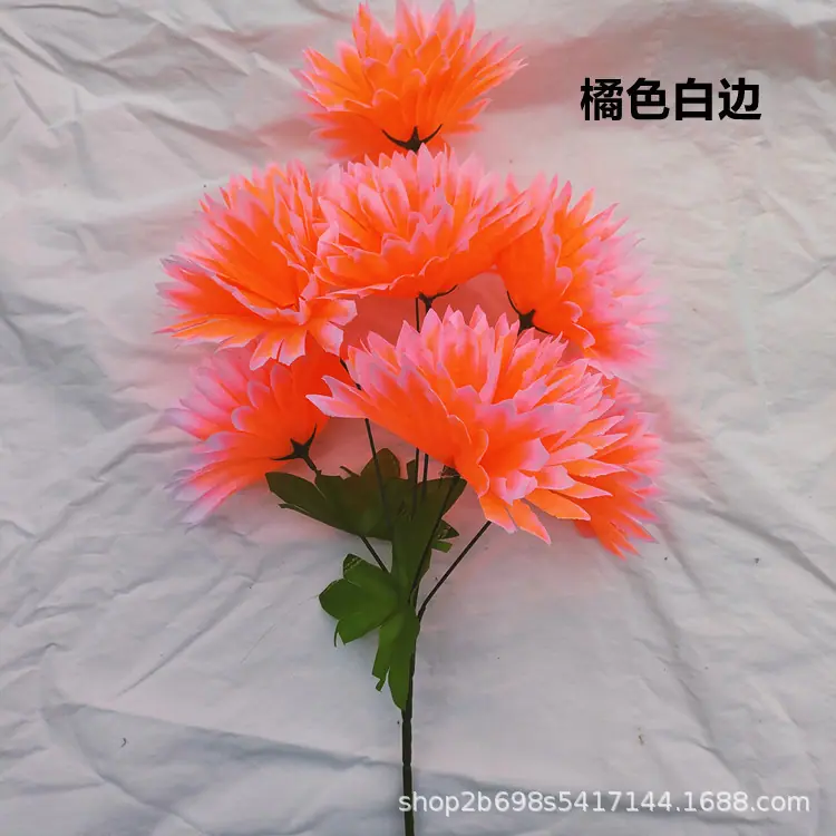 IMG20220427165854_副本.jpg