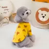 Roupa Pet para Cães e Gatos de Raça Pequena Novo Estilo Confortável Roupa para Corgi Teddy Bichon Camiseta 24 Urso Estampado Quatro Cores