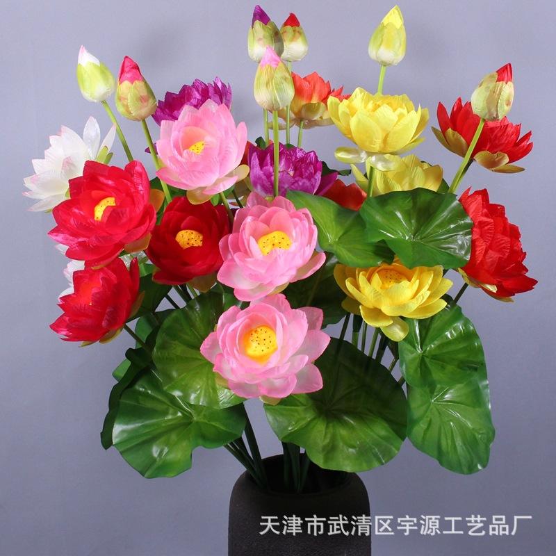IMG_9925_副本.jpg
