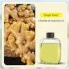 Máquina de Aromaterapia, Máquina Automática de Fragancia, Máquina de Fragancia para Dormitorio en Casa, Difusor de Aceites Esenciales, Artefacto Especial Desodorante para Baño y WC