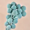 Bolas Doradas del Fabricante, Flores Naturales Reales, Materiales para Manualidades, Decoración del Hogar para la Sala de Estar, Arreglos Florales, Adornos de Flores Secas, Martillos Dorados