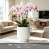 Vaso de Flor de Cerâmica Criativo Simples Branco Vaso de Porcelana Branca de Dehua Vaso Mini para Suculenta Orquídea Phalaenopsis Pequeno Vaso Decorativo