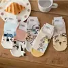 Calcetines de Nuevo Estilo para Mujer Calcetines Cortos Sin Costuras Primavera y Verano Nueva Moda Dibujos Animados Amor Calcetines de Algodón Tipo Barco para Mujer Calcetines de Moda de Placa Recta