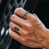 Anillo de Flor de Iris Chiba Taiyin para Hombre Anillo de Dedo Retro de Alta Gama Anillo de Viento Negro Oscuro Diseño Original Moderno