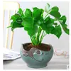 Peonía, Clorofito, Rábano Verde, Hiedra, Planta de Flor en Maceta con Borde Dorado en Forma de Corazón, Clorofito, Plantas de Flor de Maceta para Balcón Interior, Envío Gratis