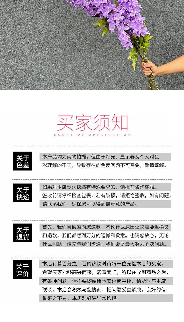 千代兰详情模板_10.jpg