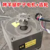Motor para Assador de Cordeiro Inteiro Assado Controlador de Velocidade para Cordeiro Inteiro Assado Acessórios para Assador de Cordeiro Inteiro Assado no Carvão Bomba Elétrica Rotatória