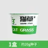 Sementes de Grama para Gatos Instantânea em Vaso para Pessoas Preguiçosas, Erva-do-Gato, Coleção Completa de Suprimentos para Gatos, Petiscos, Remoção de Pelos Fácil e Suave
