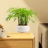 2025 Overover Fc1801 Hoja de Bambú Verde Pegatina de Pared de Plantas Removible y Compatible con Envío Transfronterizo, Antiestático e Impermeable