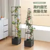 Vasos de Jardim Externos com Rega Automática, Treliça para Tomates, Vasos de Escalada para Plantas de Interior, Vasos de Escalada para Varanda