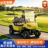 Suministro transfronterizo de carritos de golf de combustible, vehículos escénicos turísticos, vehículos de recepción de hotel, carritos de golf de 2 plazas