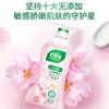Detergente para Lavar Ropa Interior de Buen Papá 950g Fragancia a Cerezo Esterilización y Eliminación de Manchas de Sangre Líquido de Limpieza Especial para Ropa Interior Original Venta al por Mayor