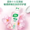 Detergente para Lavar Roupa Íntima Good Dad Fragrância de Cerejeira Esterilização e Remoção de Manchas de Sangue Líquido de Limpeza Especial para Roupa Íntima Atacado Genuíno