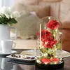 Cubierta de Vidrio de Rosa Transfronteriza Regalo del Día de la Madre San Valentín Adornos de Decoración de Flores Eternas para Novia Luz Nocturna
