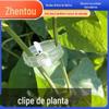 Clipe de Tomate Rattan Clip Lifter Clipe de Plástico Clipe de Videira Clipe de Fixação de Plantas Clipe de Crescimento Levantador de Enxerto