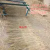 Cortina de palha estufa isolamento proteção contra frio decoração de telhado isolamento térmico cortina de palha concreto anticongelante estrada antiderrapante esteira de palha