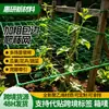 Rede de suporte para pepino, rede de suporte para plantas trepadeiras, rede de suporte de grade verde para jardinagem, atacado transfronteiriço