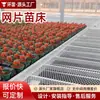 Invernadero Cultivo Plantación Plántula Cama Móvil para Plántulas Verdura Flor Agricultura Plántula Galvanizado en Caliente Malla con Manivela Cama para Plántulas