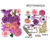 Bolsa de Flores Secas para Manualidades con Flores en Relieve, Marcapáginas de Flores en Relieve, Bolsa de Flores en Relieve, Material para Pintura en Relieve, Pegamento para Flores Reales, Hojas Secas
