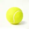 Treinamento Profissional Tênis Bola de Exibição Colorida Massagem Bola de Tênis Multitamanho Tênis ao Ar Livre Bola para Animais de Estimação Logotipo Impresso Bola de Tênis