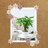 30pcs tachinha de flor tridimensional transfronteiriça resina criativa decorativa parede de fotos quadro de mensagens tachinha atacado