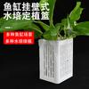 Taza de Plantación de Pared para Acuario, Taza para Plantas Acuáticas, Cesta de Plantación Hidropónica Hueca Colgante para Tanque de Tortugas, Cesta Colgante Cuadrada Multifuncional de Almacenamiento
