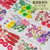 Kit de materiales DIY de flores secas mixtas para estilismo de maquillaje, maquillaje facial para retratos personales, especímenes de plantas de flores reales en relieve